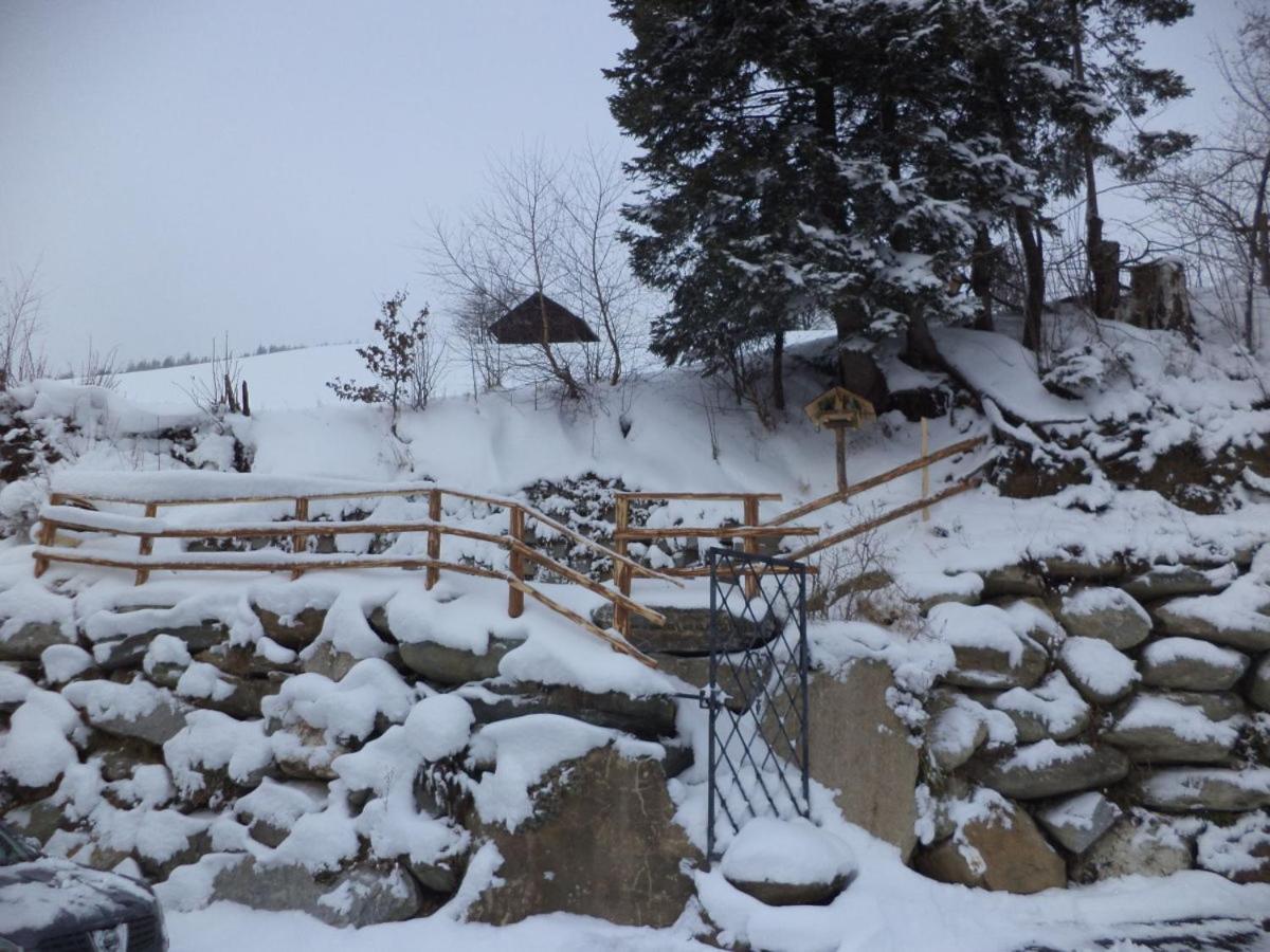 Panorama Ferienhaus Ematberg Mit Bergblick Und Sauna نيدرمسيل المظهر الخارجي الصورة